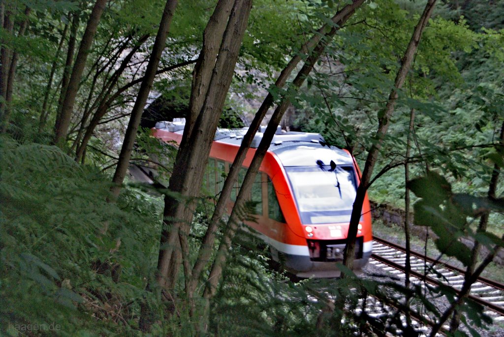 DB Regio NRW "Sauerland Express" Diesel-Triebwagen fährt zweigleisig von Schwerte (Ruhr) in Richtung Dortmund Aplerbeck..., Айзерлон