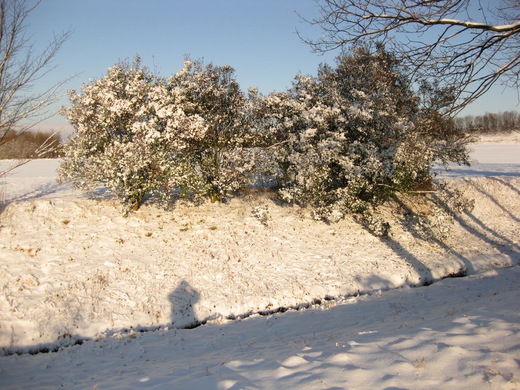 Winterlandschaft in Ahlen, Ален