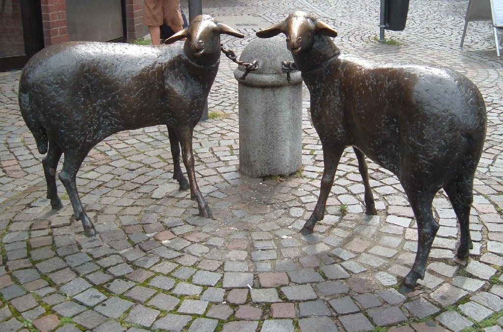 Die Schafe der Bäuerin, Бергиш-Гладбах