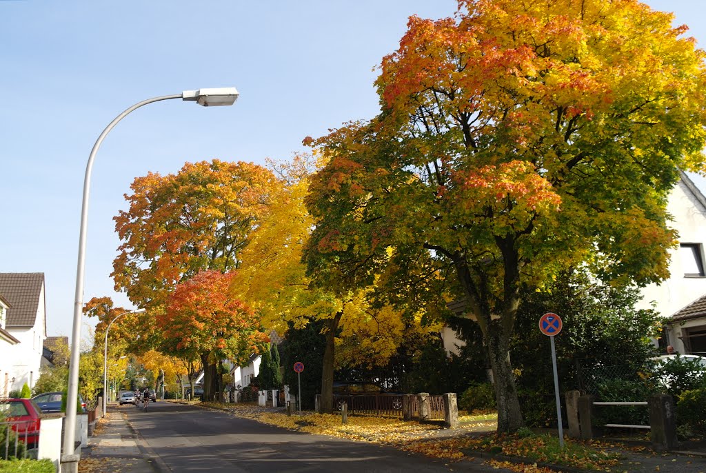 Feldstraße im Herbst, Бергиш-Гладбах