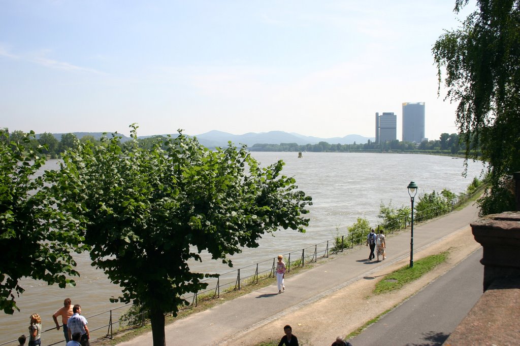 Rhine in Bonn, Бонн