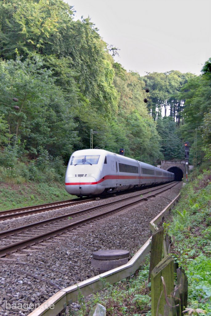 DB ICE hinter Eisenbahntunnel Aplerbecker Wald Fahrtrichtung Dortmund aus Schwerte kommend, Брул