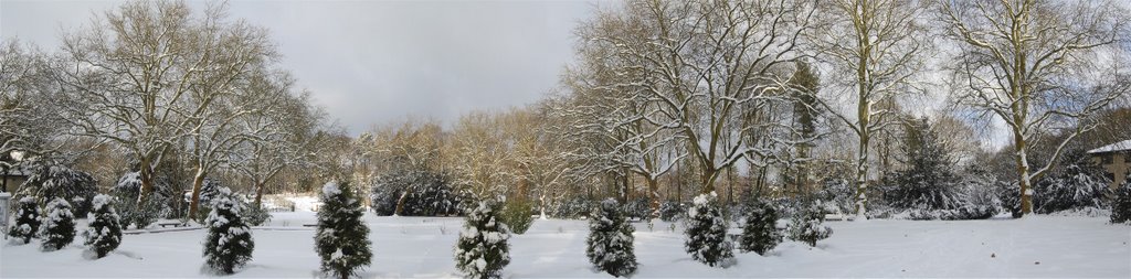 Hohenstein im Winter, Виттен