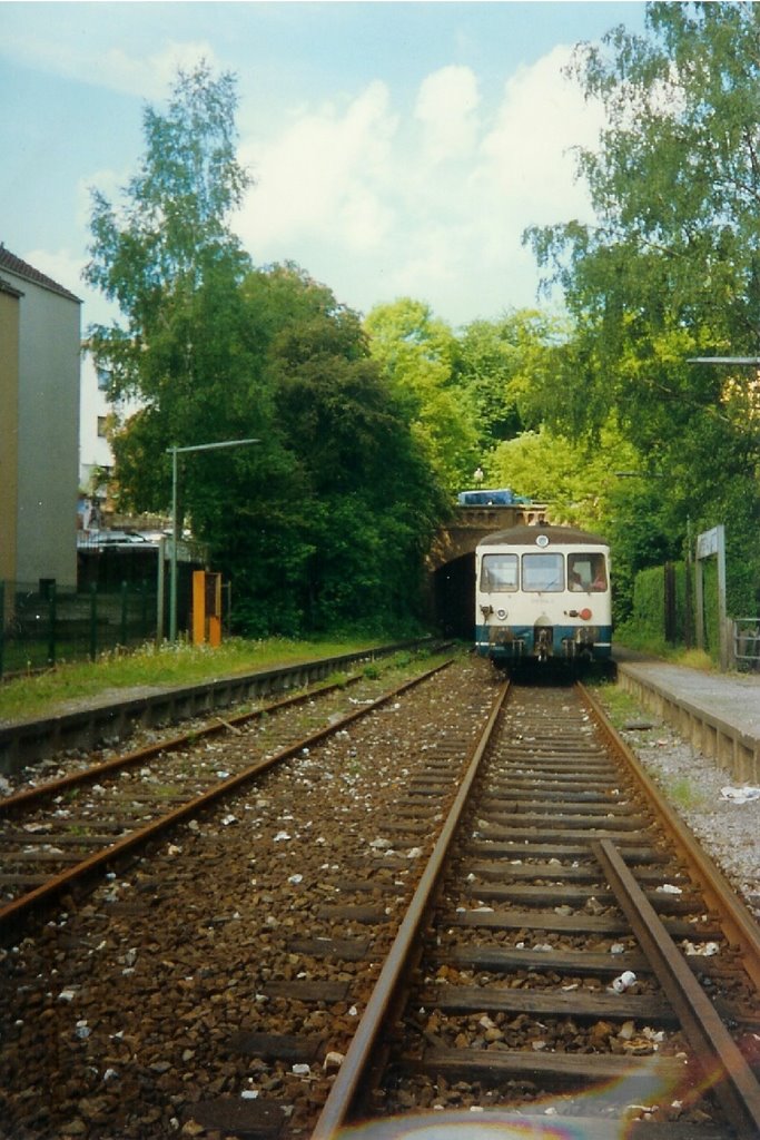 Hp. Wuppertal-Rott 1993, Вупперталь