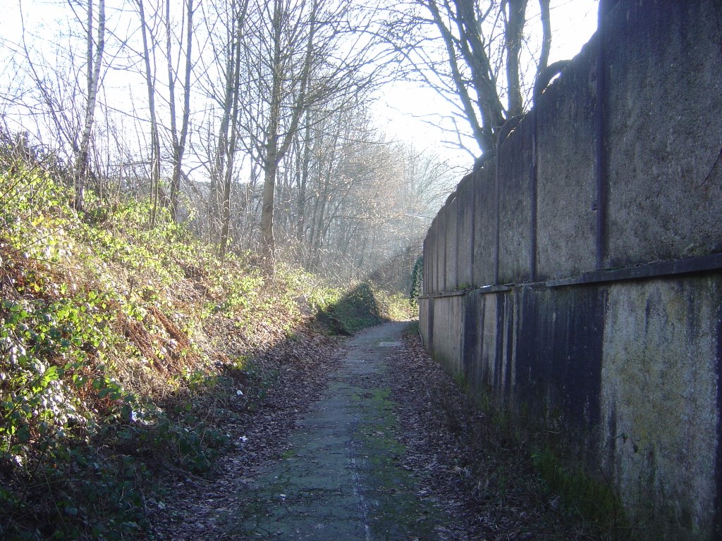Steinmüller-Mauer, Гуммерсбах