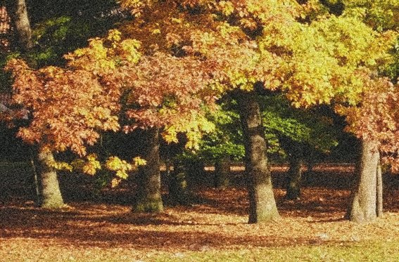 Herbstbäume, Гутерсло