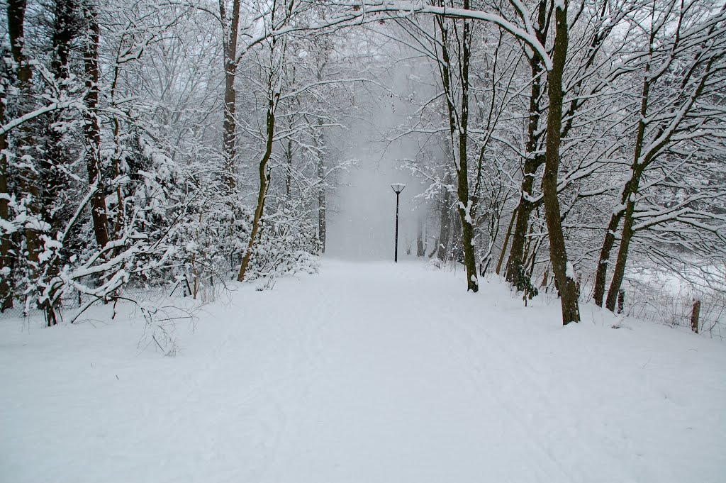 Winter im Stadtpark, Гутерсло