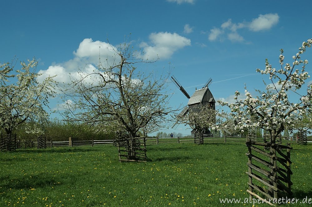 Bockwindmühle (LWL-Freilichtmuseum Detmold), Детмольд