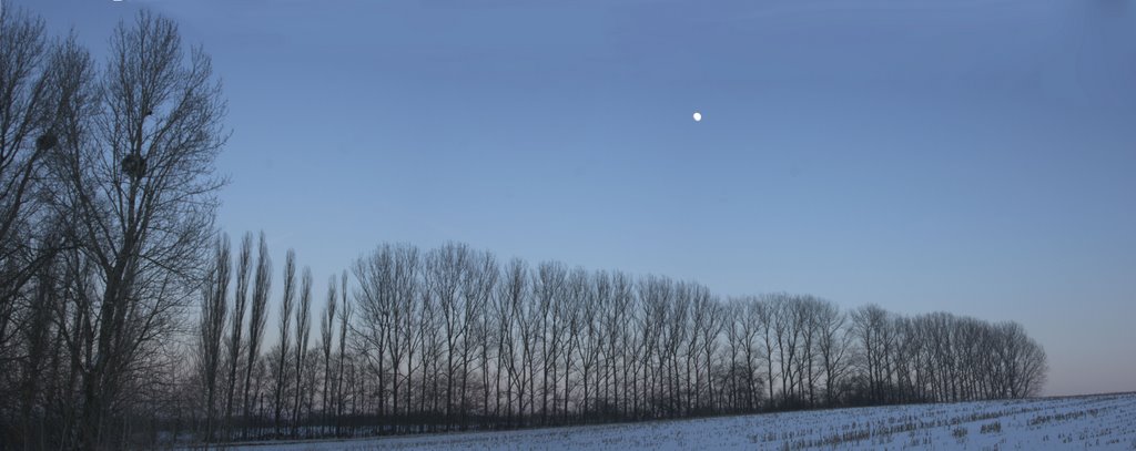 Winter moon, Детмольд