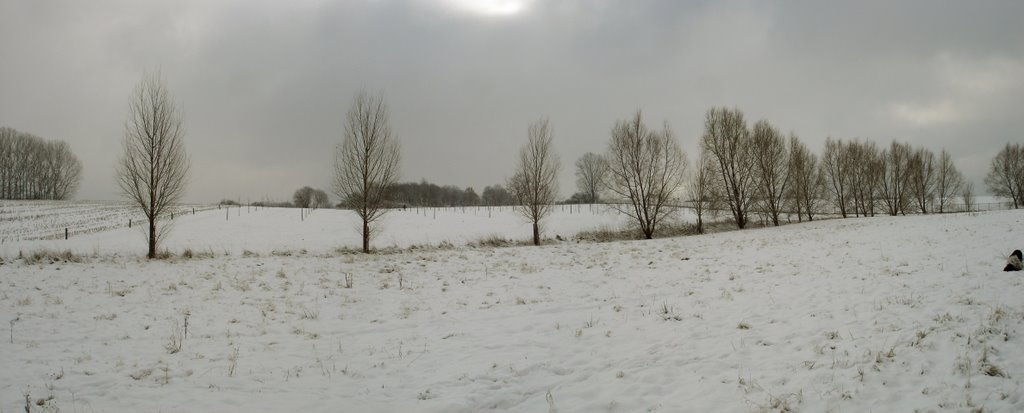 Landscape in The Snow, Детмольд