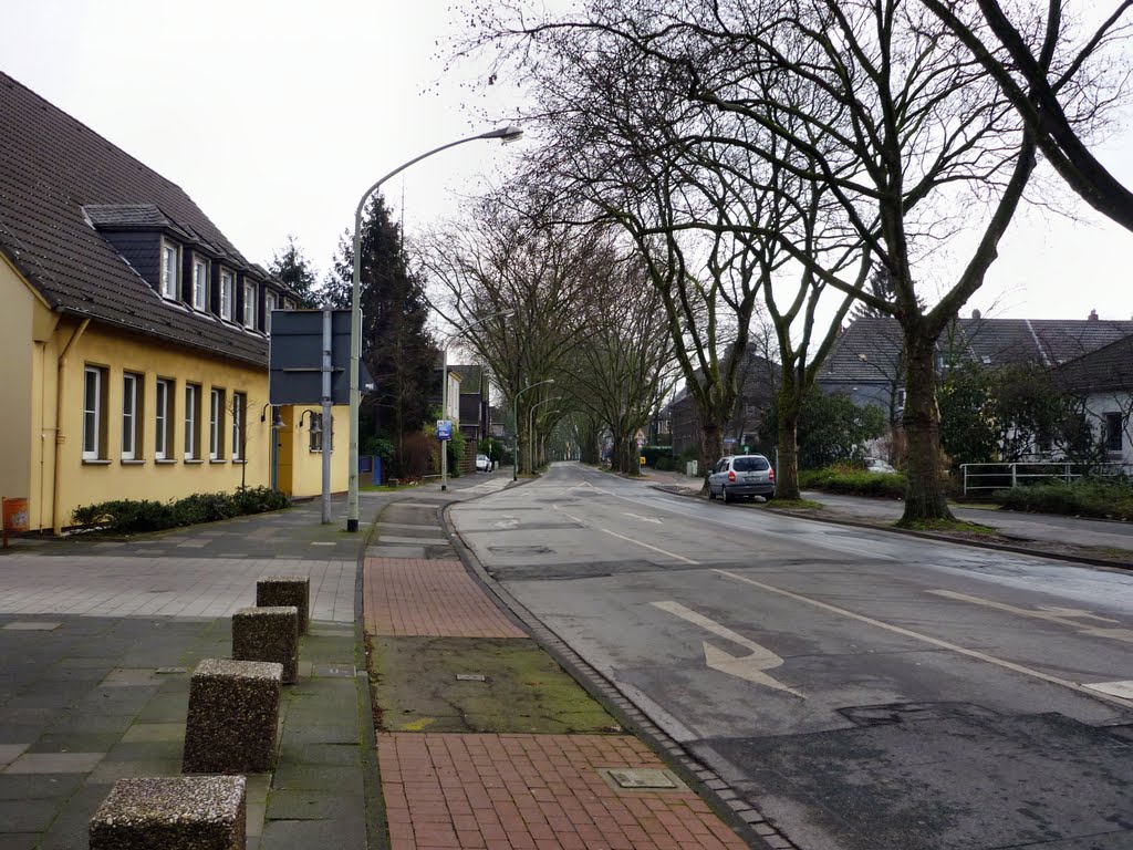 Schulz-Knaudt-Str. (Duisburg-Hüttenheim) / 28.01.2012, Дойсбург