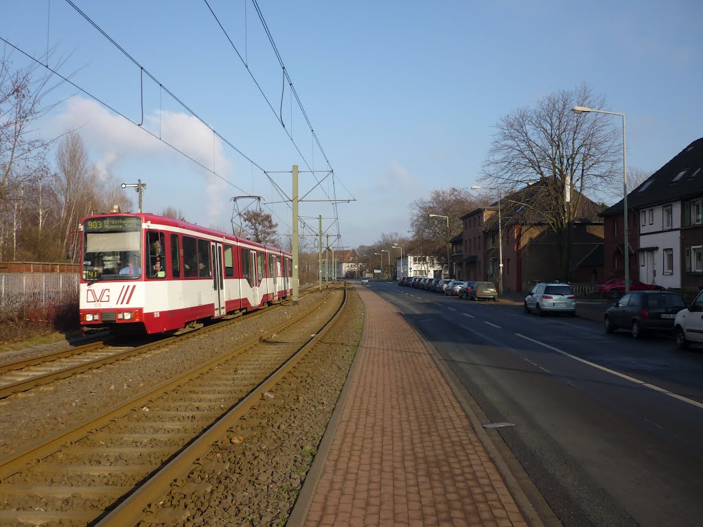 An der Straßenbahntrasse neben der Ehinger Str. (Duisburg-Hüttenheim) / 28.01.2012, Дойсбург
