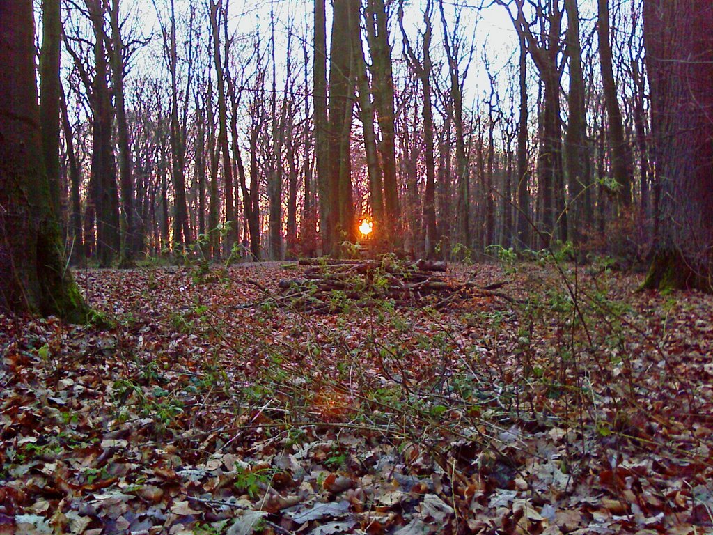 Sonnenuntergang im Schwerter Wald (12/2007), Дурен
