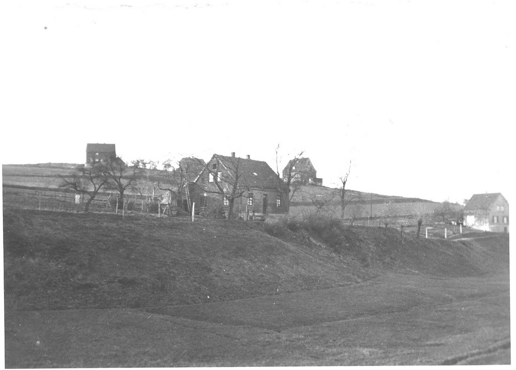Historische Aufnahme der Gurlittstrasse, damals Wiesenstrasse, aus dem Nathebachtal heraus. Im Vordergrund die Häuser 49 und 39., Люденсхейд