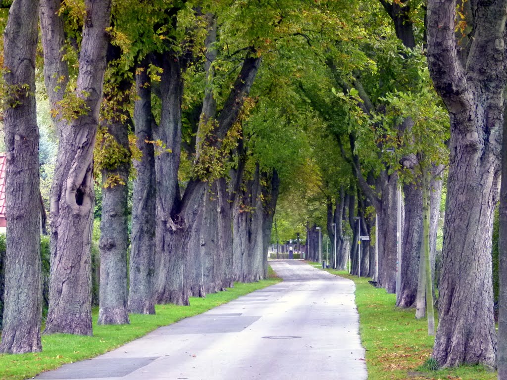 Stadtallee, Падерборн