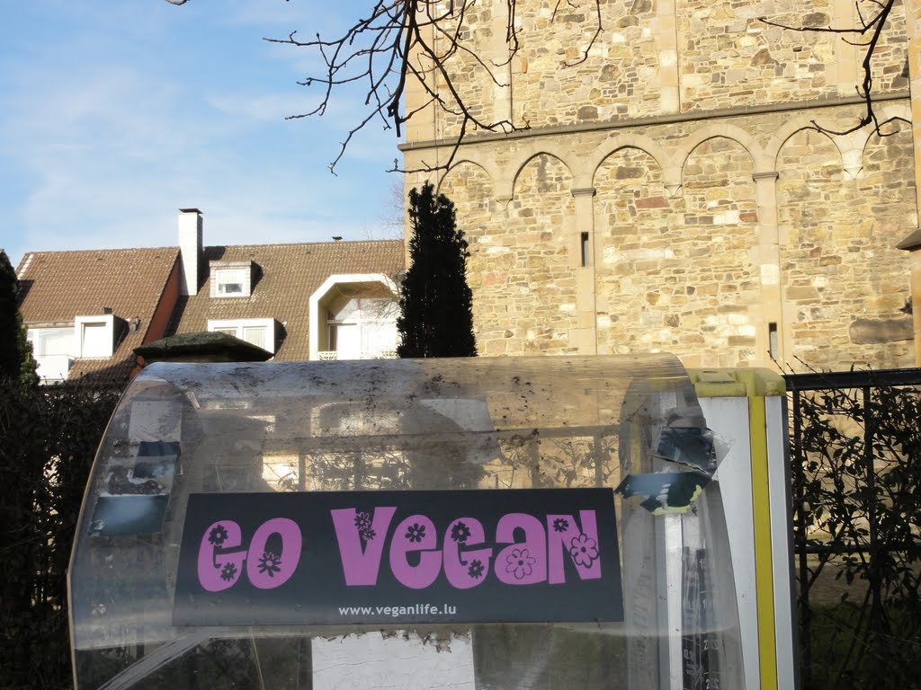 Go Vegan!, Ратинген