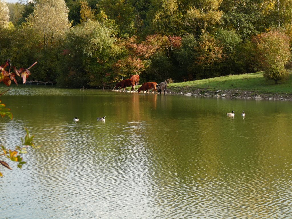 Озеро в парке, Beckum