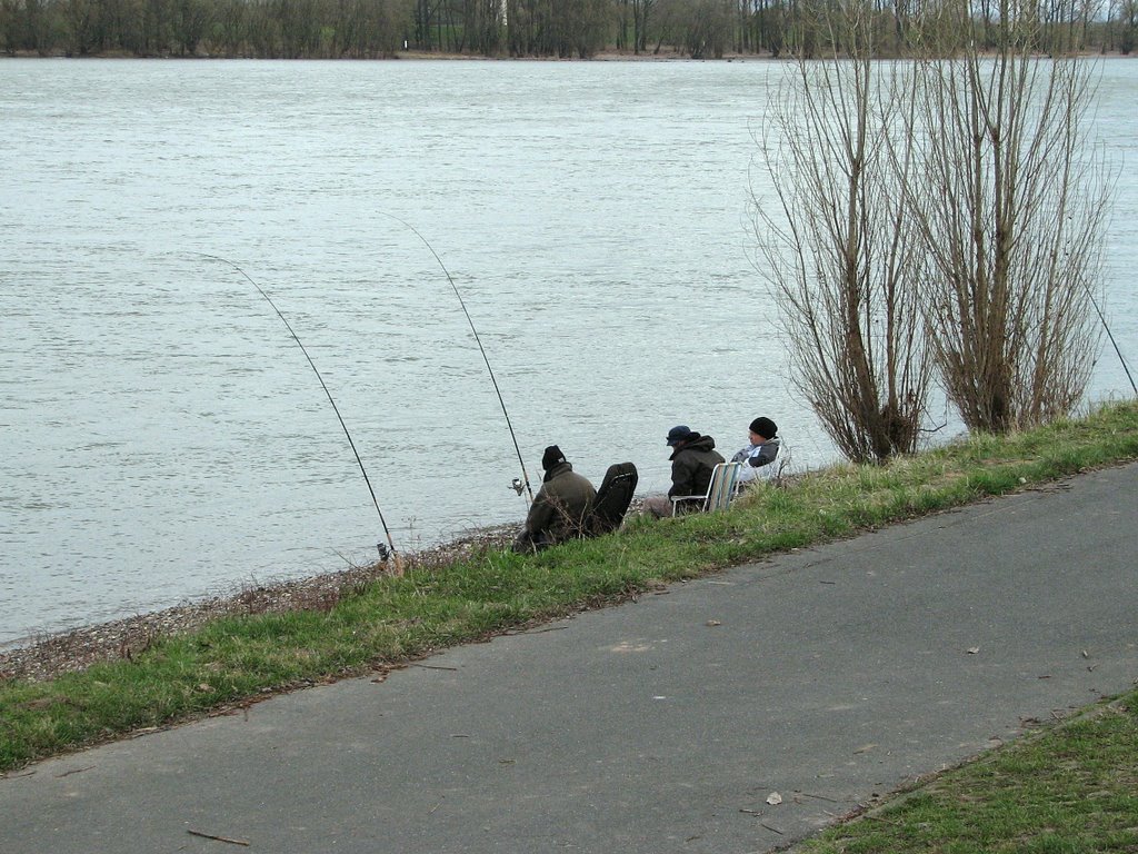 Angler am Urfelder Rheinufer, Нидеркассель