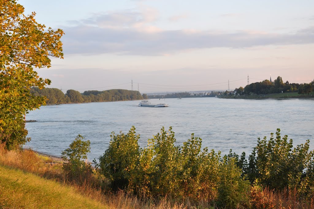 Perspective of "Lülsdorf" / Rhine towards "Bonn". Photographed in September 2012. Blick in Richtung Bonn, gesehen von Lülsdorf / Rhein. Abgelichtet im September 2012, Нидеркассель