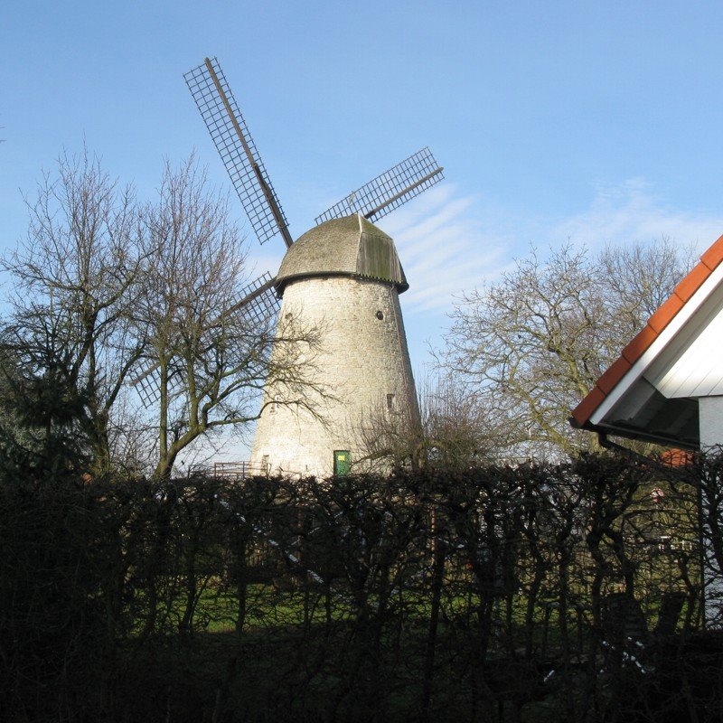 Alte Windmühle, Ауе