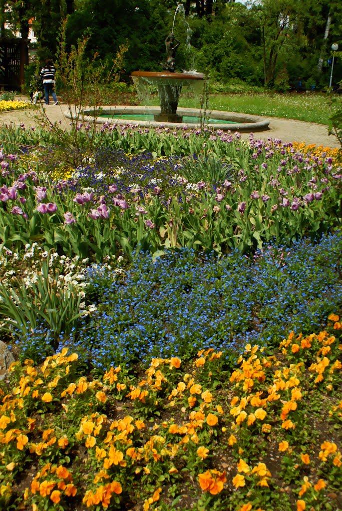 Brunnen und Blumengarten im Max-Reger-Park, Вайден
