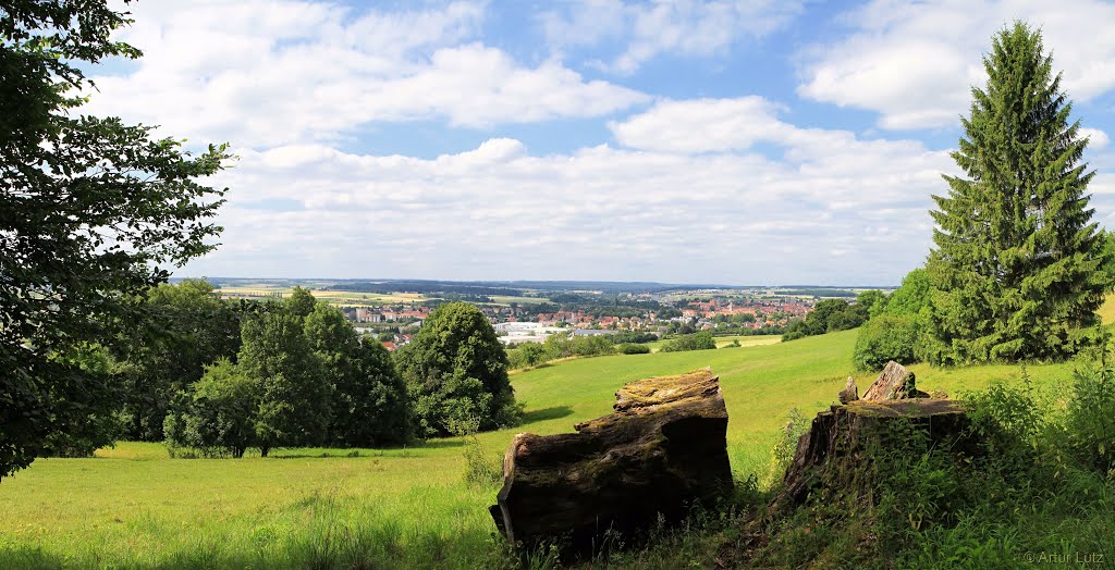 Blick von der Jakobsruhe auf Weißenburg in Bayern, Вайсенбург
