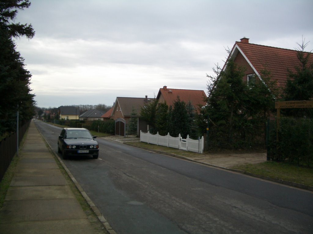 Holzweg, Гарделеген