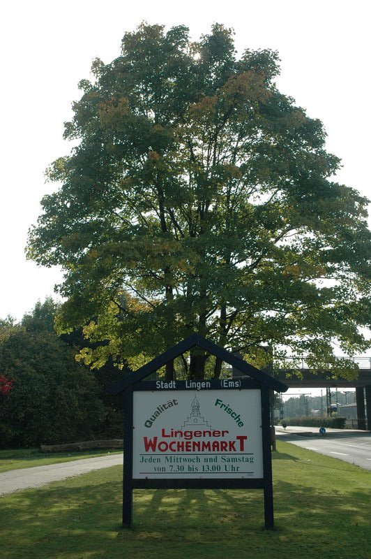Stadd sign of Lingen, Линген