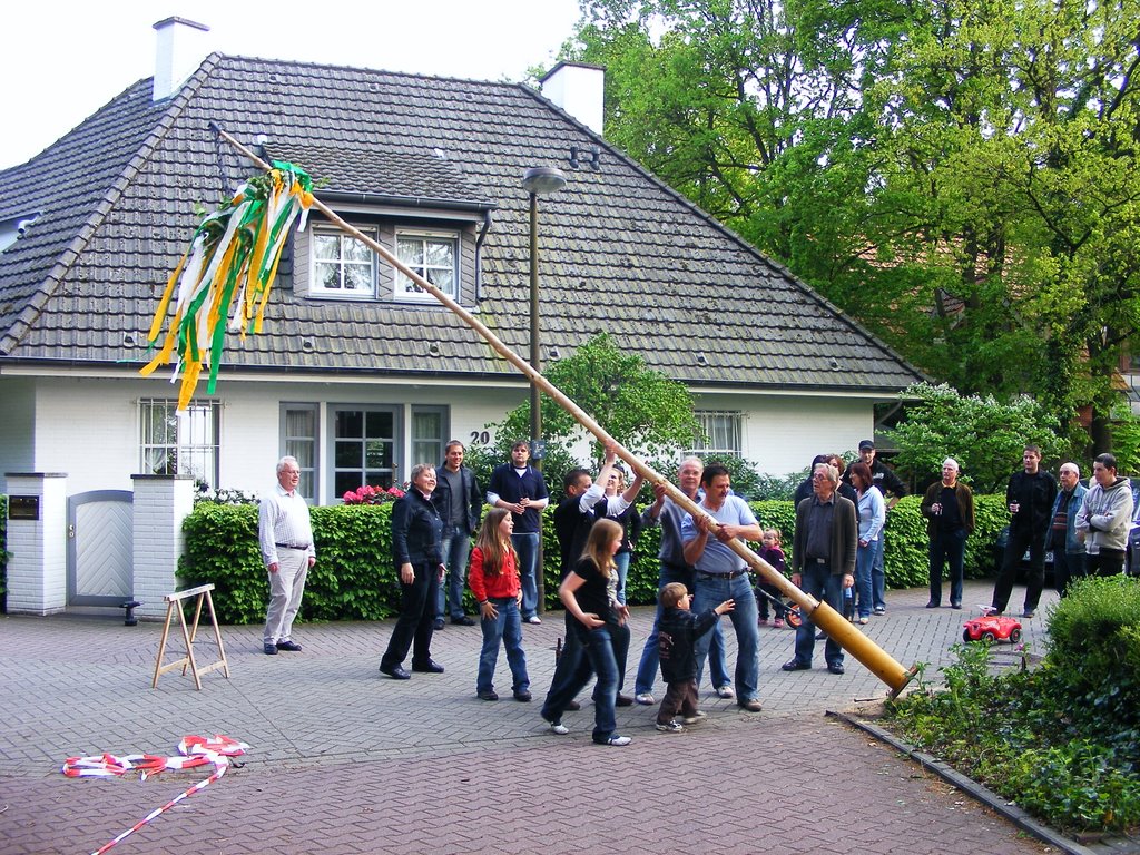 Maibaum 2009, Линген