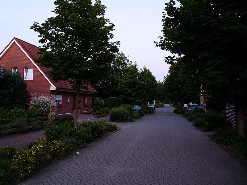 Eichhörnchenweg am Abend, Линген
