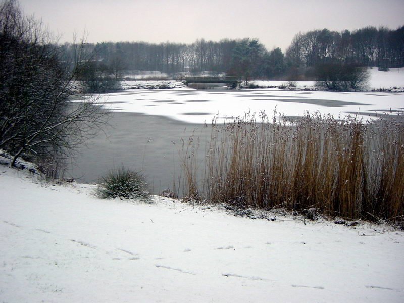 Telgenkamp See Lingen im Winter, Линген