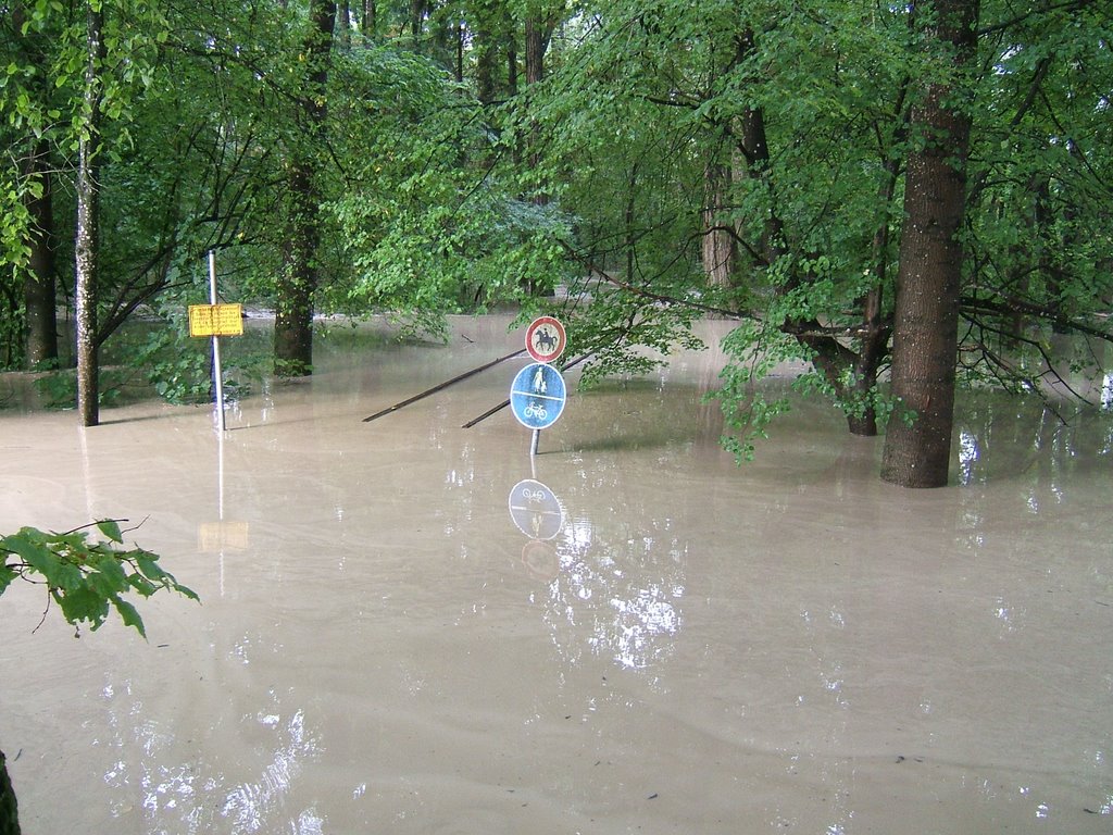 Hochwasser Aug. 2005, Мюльдорф