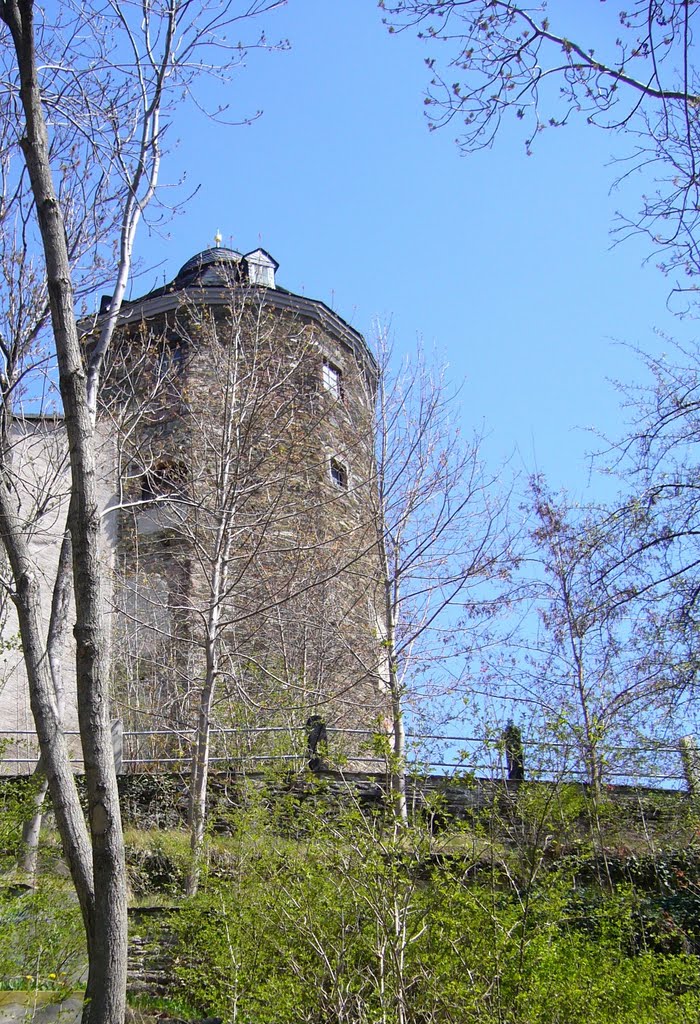 Schlossturm, Плауен