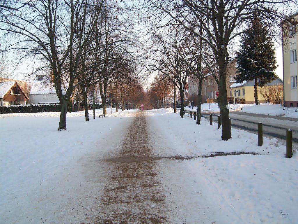 Von-Pentz-Allee im Winter, Тетеров