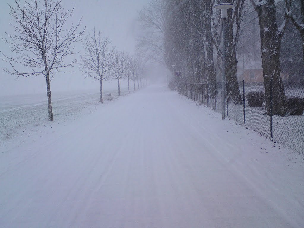 Pampower Weg im Winter, Тетеров