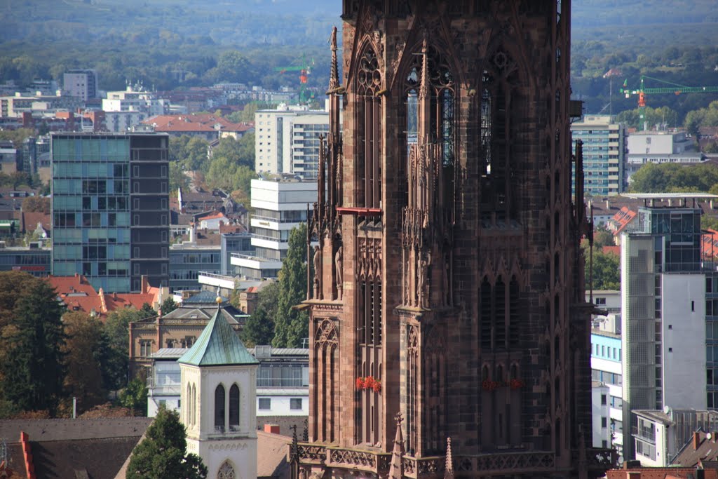 Münster zu Freiburg, ohne Baugerüste ;-), Фрайбург