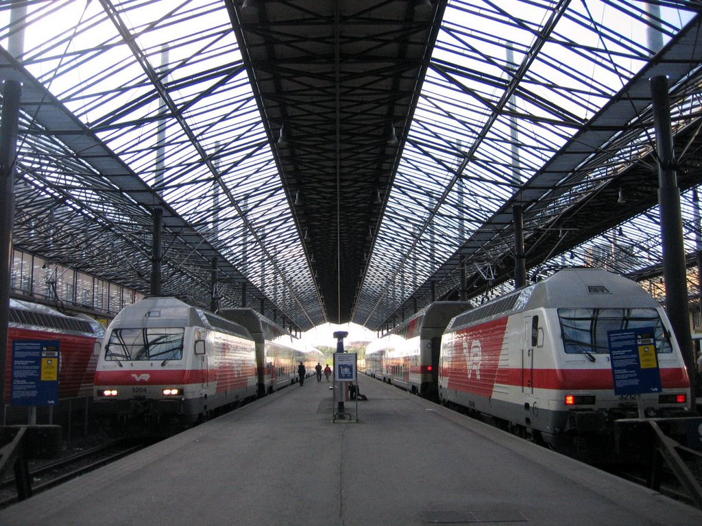 Helsingfors | Helsingin rautatieasema - Mainstation - Train Tracks, Хельсинки