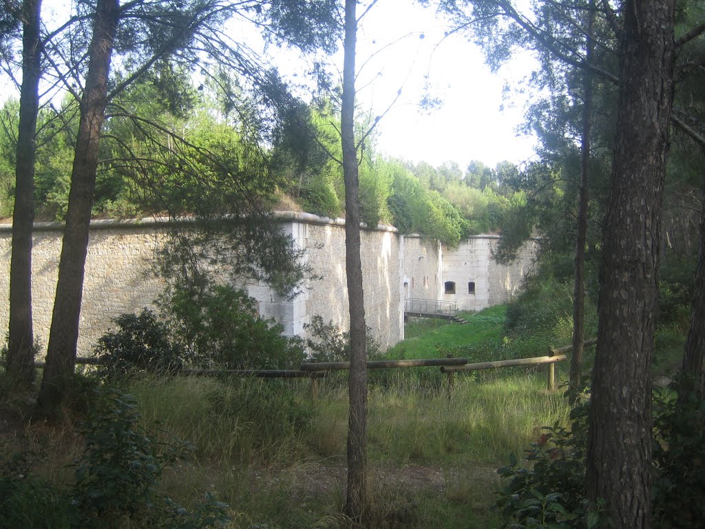 Le Fort XIXe dit Napoléon, Ла-Сен-сюр-Мер