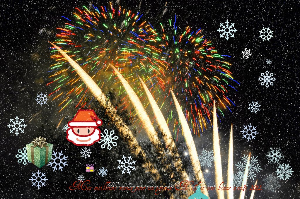 Mes meilleurs voeux pour un joyeux Noël  et une bonne année 2012 à tous mes amis Panoramio (Surtout à  ANNIE  ma meilleure amie qui nous a quittés). My best wishes for a merry Christmas and a happy new year 2012 to all  of my Panoramios freinds ( speciall, Ренн