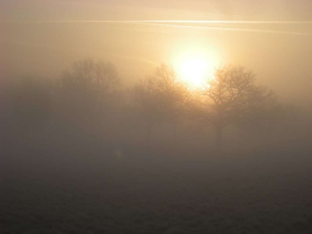 Marclop brouillard matinal, Руанн