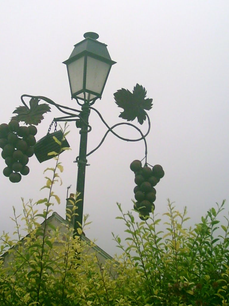 lamppost with grapes hanging, Анже