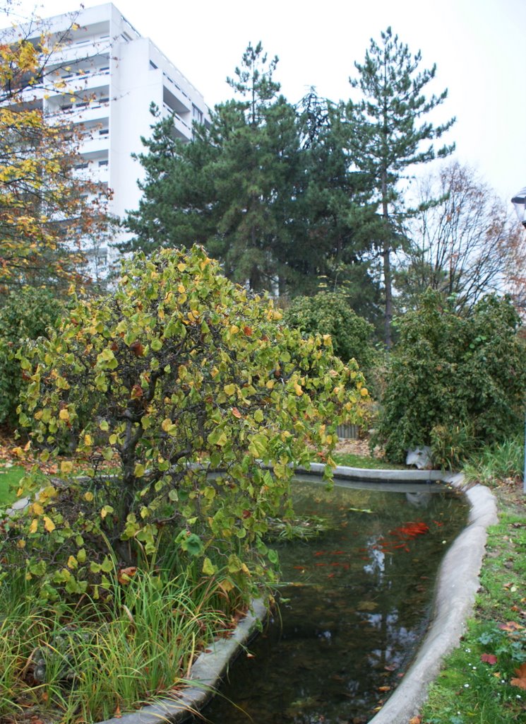 Boulogne-Billancourt.le parc de mon enfance, le bassin aux poissons rouges, Булонь-Билланкур