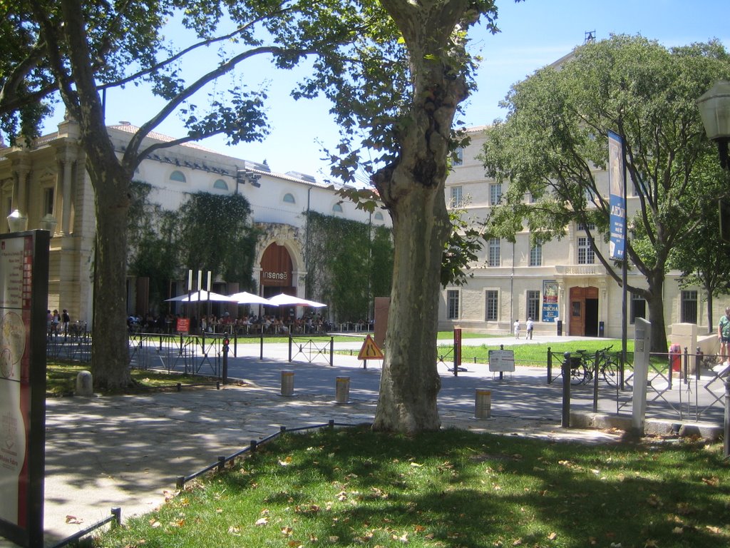 Montpellier, le Musée Fabre (dans lancien Collège des Jésuites et lycée)... et lInsensé, Монпелье