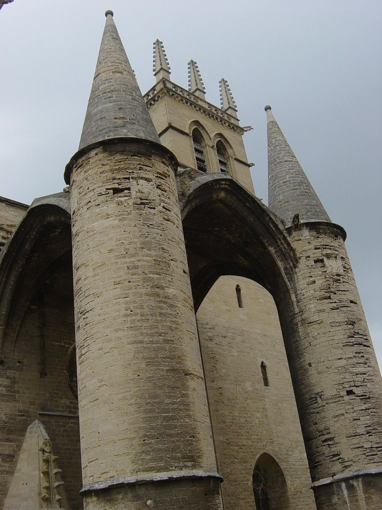 Montpeller, catedral, Монпелье