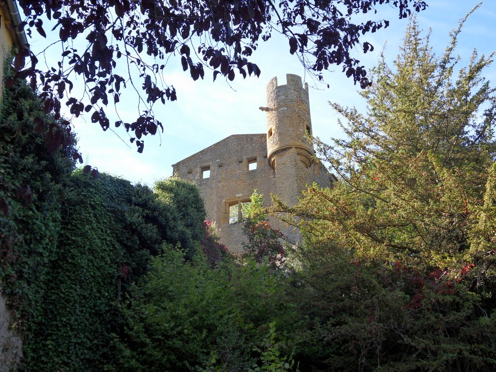 Le château de Châtillon sur Azergues dans le Beaujolais, Виллеурбанн