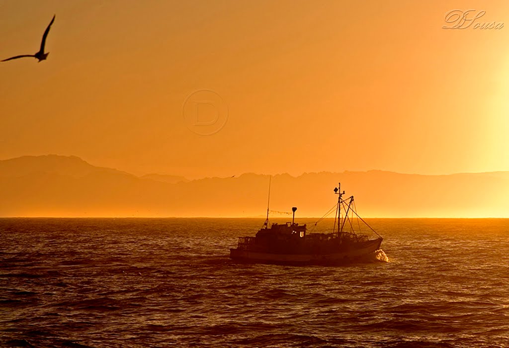 Boat Sunrise, Гавр