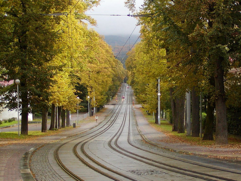 podzim u tramvajove trati v Lidovych sadech, Либерец