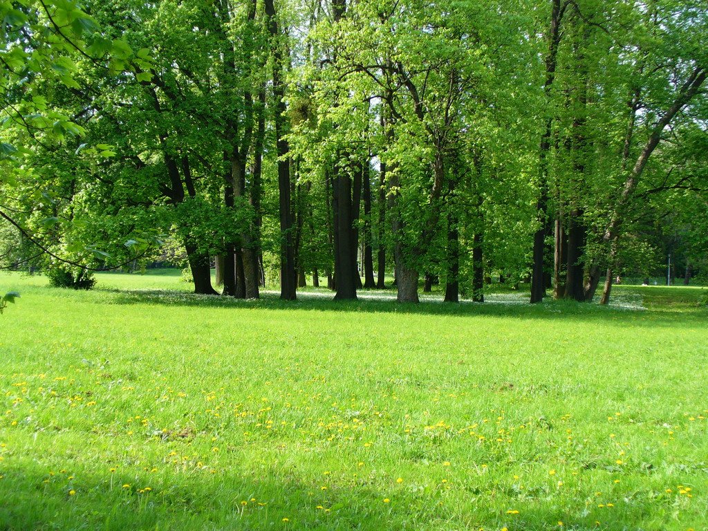 The Park of Bozena Nemcova   in Karvina, Карвина