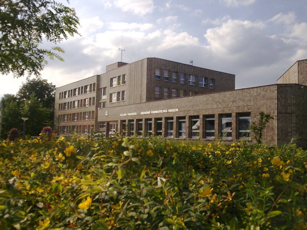 Fakultet handlowo-Menażerski Uniwersytetu Sląskiego, Карвина