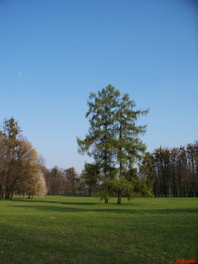 Park of Božena Němcová, Карвина